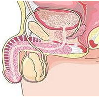 360°全面解析：阴囊湿疹